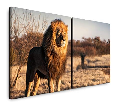 Paul Sinus Art GmbH Löwe auf Einem kleinem Berg 120x60cm - 2 Wandbilder je 60x60cm Kunstdruck modern Wandbilder XXL Wanddekoration Design Wand Bild