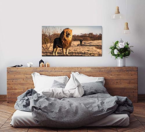 Paul Sinus Art Löwe auf Einem kleinem Berg 120x 60cm Panorama Leinwand Bild XXL Format Wandbilder Wohnzimmer Wohnung Deko Kunstdrucke