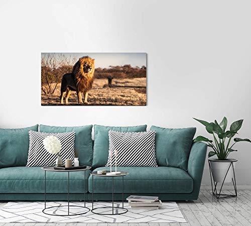 Paul Sinus Art Löwe auf Einem kleinem Berg 120x 60cm Panorama Leinwand Bild XXL Format Wandbilder Wohnzimmer Wohnung Deko Kunstdrucke