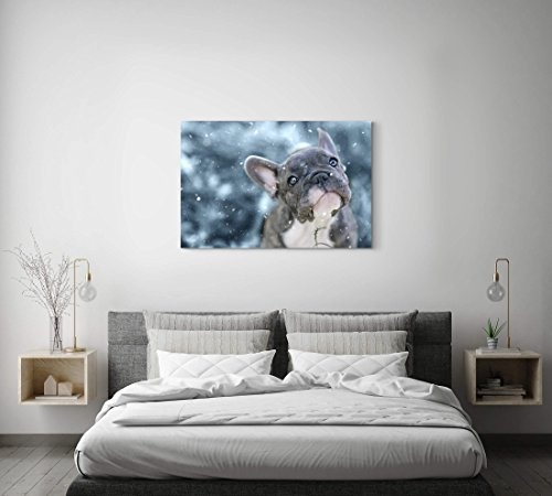 Paul Sinus Art Leinwandbilder | Bilder Leinwand 120x80cm Französische Bulldogge Welpe