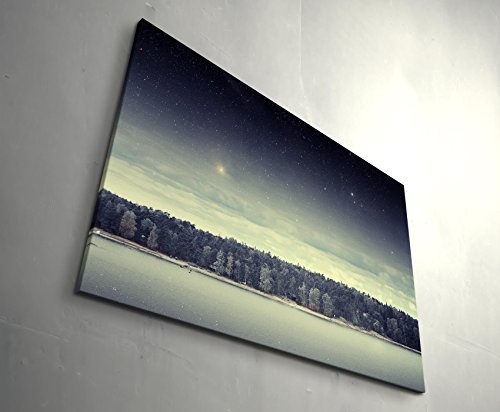 Paul Sinus Art Leinwandbilder | Bilder Leinwand 120x80cm Wald Bei Nacht