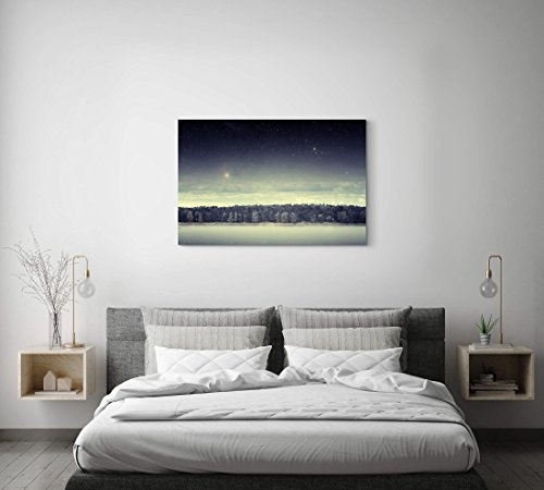 Paul Sinus Art Leinwandbilder | Bilder Leinwand 120x80cm Wald Bei Nacht