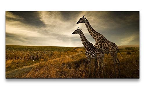 Paul Sinus Art Giraffen im Sonnenuntergang 120x 60cm...