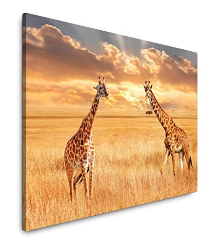 Paul Sinus Art Giraffen in der Savanne 100 x 70 cm Inspirierende Fotokunst in Museums-Qualität für Ihr Zuhause als Wandbild auf Leinwand in