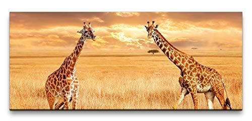 Paul Sinus Art GmbH Giraffen in der Savanne 120x 50cm Panorama Leinwand Bild XXL Format Wandbilder Wohnzimmer Wohnung Deko Kunstdrucke
