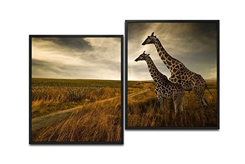 Paul Sinus Art Giraffen im Sonnenuntergang 130 x 90 cm (2 Bilder ca. 75x65cm) Leinwandbilder fertig im Schattenfugenrahmen SCHWARZ Kunstdruck XXL modern