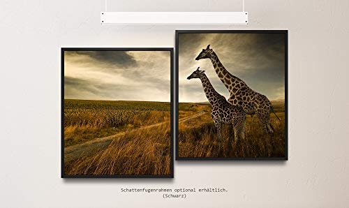 Paul Sinus Art Giraffen im Sonnenuntergang 130 x 90 cm (2 Bilder ca. 75x65cm) Leinwandbilder fertig im Schattenfugenrahmen SCHWARZ Kunstdruck XXL modern