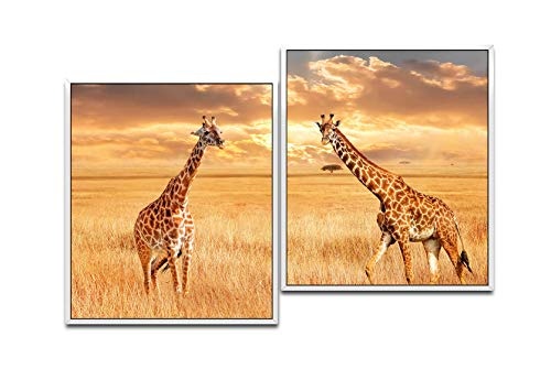 Paul Sinus Art Giraffen in der Savanne 130 x 90 cm (2 Bilder ca. 75x65cm) Leinwandbilder fertig im Schattenfugenrahmen Weiss Kunstdruck XXL modern