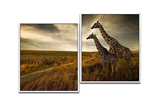 Paul Sinus Art Giraffen im Sonnenuntergang 130 x 90 cm (2...