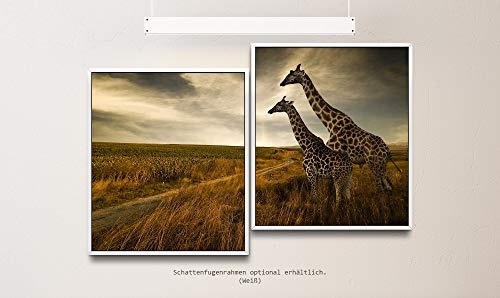 Paul Sinus Art Giraffen im Sonnenuntergang 130 x 90 cm (2 Bilder ca. 75x65cm) Leinwandbilder fertig im Schattenfugenrahmen Weiss Kunstdruck XXL modern