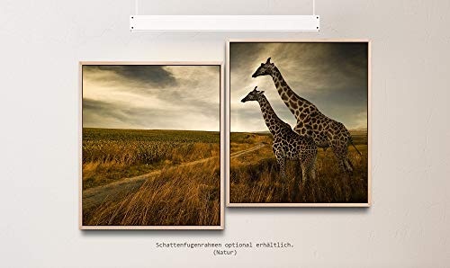 Paul Sinus Art Giraffen im Sonnenuntergang 130 x 90 cm (2 Bilder ca. 75x65cm) Leinwandbilder fertig im Schattenfugenrahmen Natur Kunstdruck XXL modern