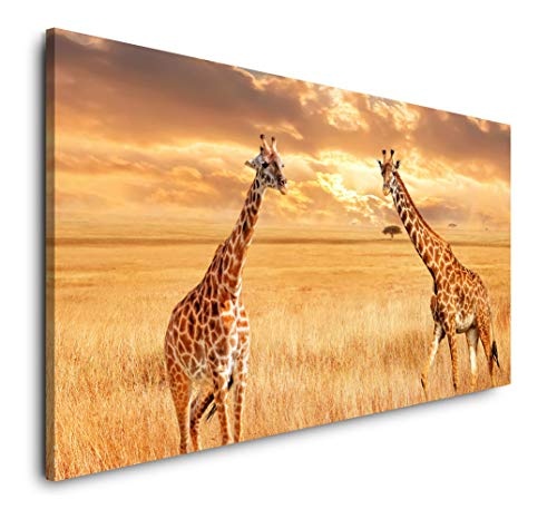 Paul Sinus Art Giraffen in der Savanne 120x 60cm Panorama Leinwand Bild XXL Format Wandbilder Wohnzimmer Wohnung Deko Kunstdrucke