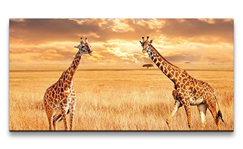 Paul Sinus Art Giraffen in der Savanne 120x 60cm Panorama Leinwand Bild XXL Format Wandbilder Wohnzimmer Wohnung Deko Kunstdrucke