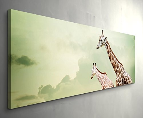 Paul Sinus Art Leinwandbilder | Bilder Leinwand 120x40cm Drei relaxende Giraffen