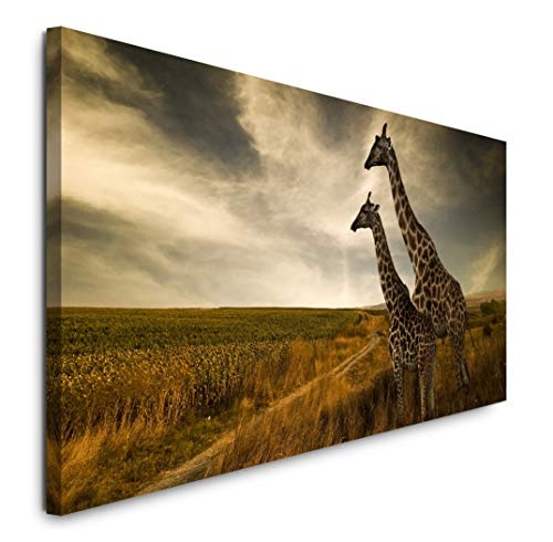 Paul Sinus Art GmbH Giraffen im Sonnenuntergang 120x 50cm Panorama Leinwand Bild XXL Format Wandbilder Wohnzimmer Wohnung Deko Kunstdrucke