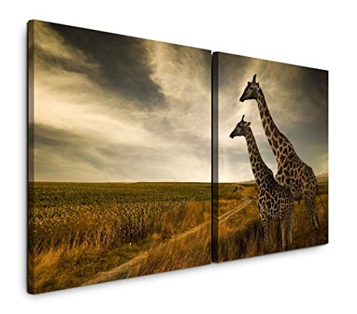 Paul Sinus Art GmbH Giraffen im Sonnenuntergang 120x60cm...
