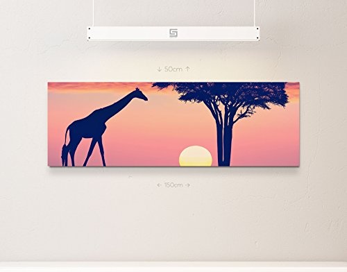 Paul Sinus Art Leinwandbilder | Bilder Leinwand 150x50cm Giraffe Bei Sonnenntergang