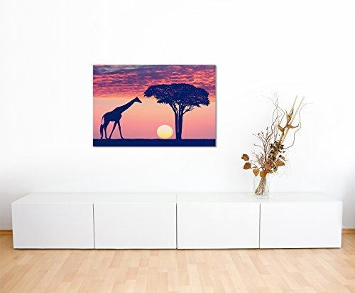 Paul Sinus Art Kunstfoto auf Leinwand 60x40cm Landschaftsfotografie - Silhouette mit Giraffe und Akazie auf Leinwand Exklusives Wandbild Moderne Fotografie für Ihre Wand in Vielen Größen