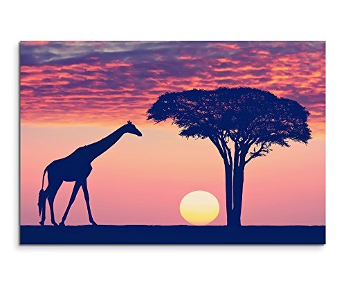 Paul Sinus Art Kunstfoto auf Leinwand 60x40cm Landschaftsfotografie - Silhouette mit Giraffe und Akazie auf Leinwand Exklusives Wandbild Moderne Fotografie für Ihre Wand in Vielen Größen