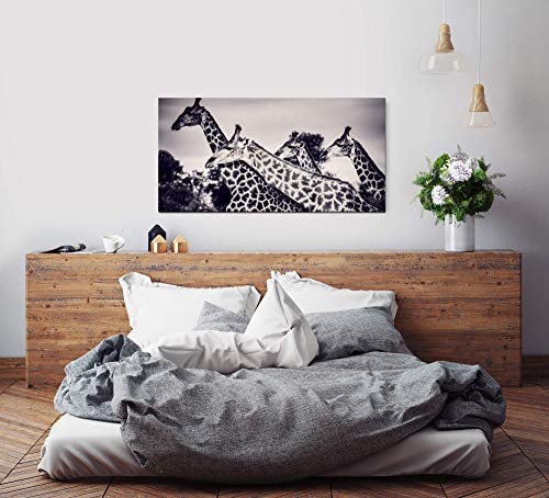 Giraffen in der Savanne ca. 130x70cm Wandbild inklusive Schattenfugenrahmen naturfarbend - Panorama Leinwand Bild XXL Format Wandbilder Wohnzimmer Wohnung Deko Kunstdrucke