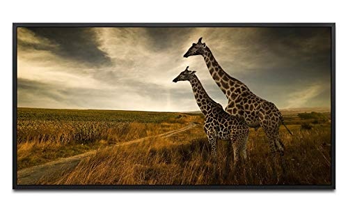 Giraffen im Sonnenuntergang ca. 130x70cm Wandbild inklusive Schattenfugenrahmen schwarz - Panorama Leinwand Bild XXL Format Wandbilder Wohnzimmer Wohnung Deko Kunstdrucke