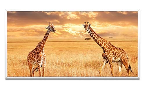 Giraffen in der Savanne ca. 130x70cm Wandbild inklusive Schattenfugenrahmen Weiss - Panorama Leinwand Bild XXL Format Wandbilder Wohnzimmer Wohnung Deko Kunstdrucke