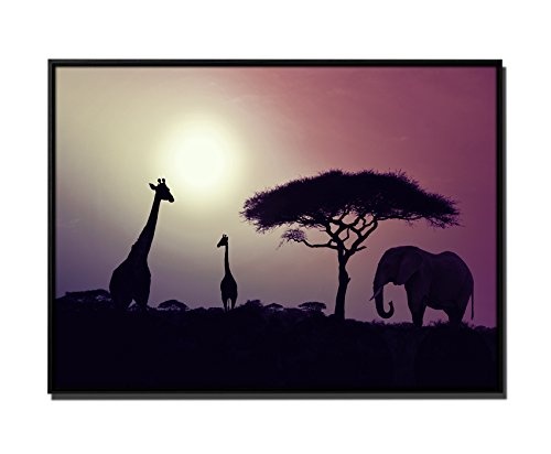 105x75cm Wandbild - Farbe Mauve - auf Leinwand inkusive Schattenfugenrahmen schwarz - Sonnenuntergang Elefant und Giraffen Afrika