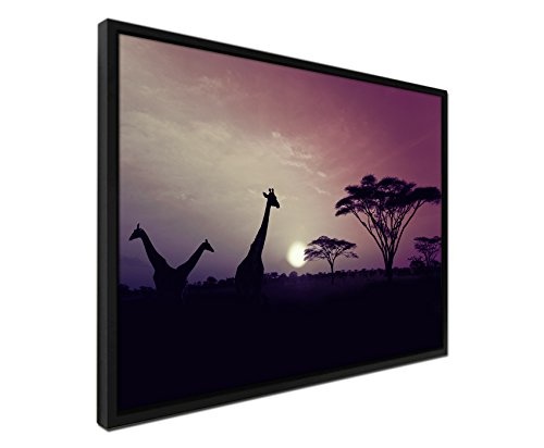 105x75cm Wandbild - Farbe Mauve - auf Leinwand inkusive Schattenfugenrahmen schwarz - Sonnenuntergang Safari Giraffen Serengeti Nationalpark