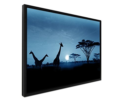 105x75cm Wandbild - Farbe Blau Petrol - auf Leinwand inkusive Schattenfugenrahmen schwarz - Sonnenuntergang Safari Giraffen Serengeti Nationalpark