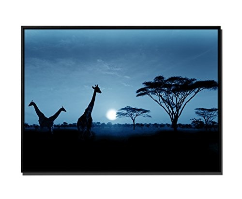105x75cm Wandbild - Farbe Blau Petrol - auf Leinwand inkusive Schattenfugenrahmen schwarz - Sonnenuntergang Safari Giraffen Serengeti Nationalpark