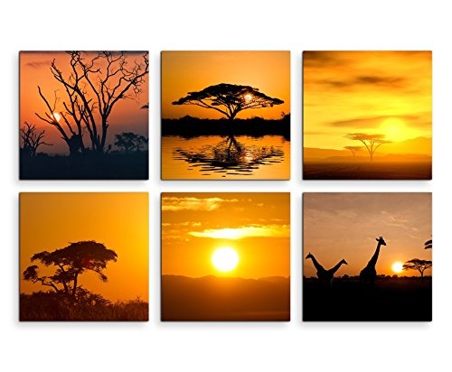 6 teiliges Leinwandbild je 30x30cm - Akazienbaum Afrika Sonnenuntergang Wüste Giraffe