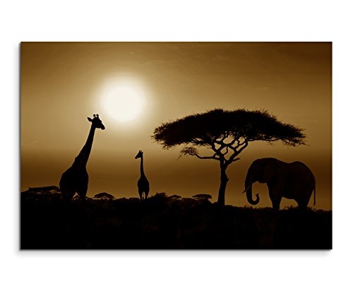 100x70cm Bild Sepia Sonnenuntergang Elefant und Giraffen...