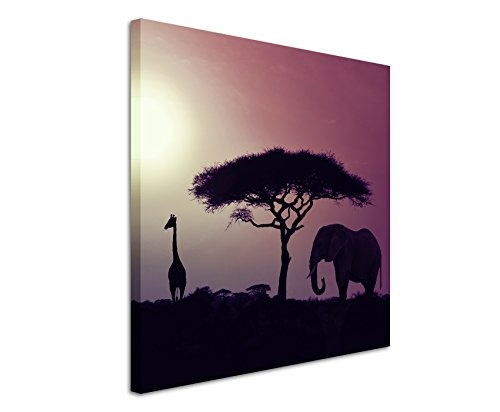 80x80cm Wandbild Fotoleinwand Bild in Mauve Sonnenuntergang Elefant und Giraffen Afrika