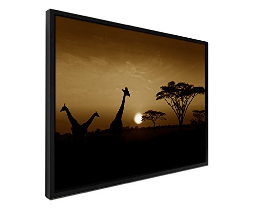 105x75cm Wandbild - Farbe Sepia - auf Leinwand inkusive Schattenfugenrahmen schwarz - Sonnenuntergang Safari Giraffen Serengeti Nationalpark