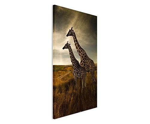 Fotoleinwand 90x60cm Tierfotografie - Zwei Giraffen in der Landschaft