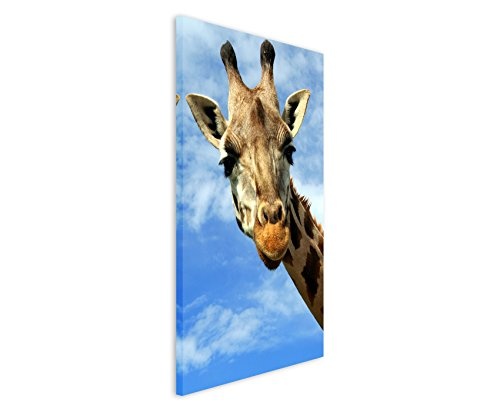 Fotoleinwand 90x60cm Tierfotografie - Porträt einer neugierigen Giraffe