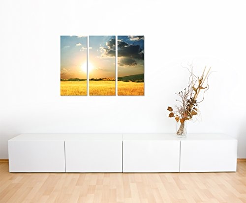 Paul Sinus Art 3 teiliges Leinwand-Bild 3x90x40cm (Gesamt 130x90cm) Landschaftsfotografie - Goldenes Weizenfeld auf Leinwand exklusives Wandbild moderne Fotografie für ihre Wand in vielen Größen