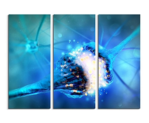 3 teiliges Leinwand-Bild 3x90x40cm (Gesamt 130x90cm) Medizinische Abbildung - Neuron und Synapse auf Leinwand exklusives Wandbild moderne Fotografie für ihre Wand in vielen Größen