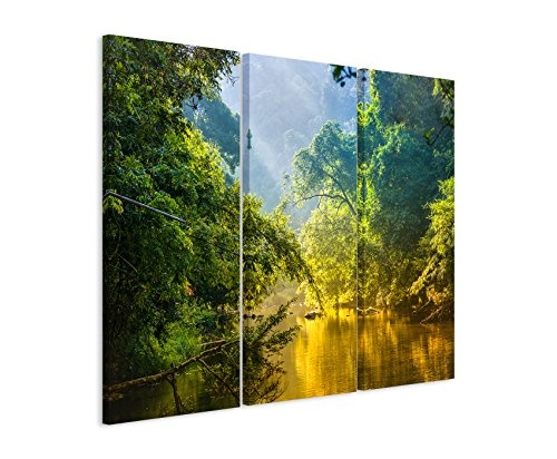 3 teiliges Leinwand-Bild 3x90x40cm (Gesamt 130x90cm) Landschaftsfotografie - Tropischer Regenwald mit Fluss auf Leinwand exklusives Wandbild moderne Fotografie für ihre Wand in vielen Größen