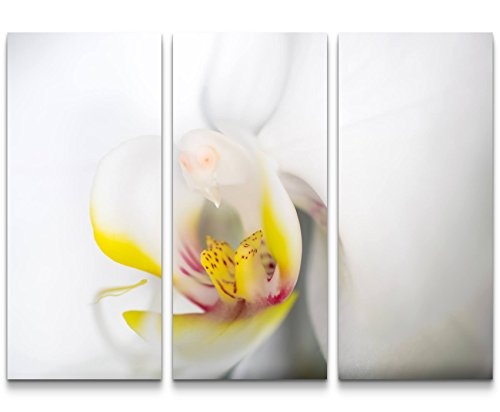 Paul Sinus Art Weiße Orchidee im Detail - 3 teiliges Wandbild Gesamtgröße 130x90cm