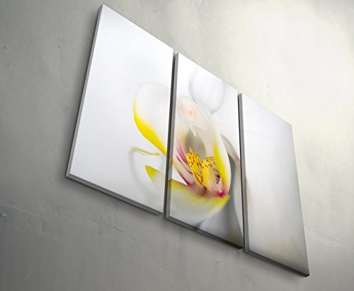 Paul Sinus Art Weiße Orchidee im Detail - 3 teiliges Wandbild Gesamtgröße 130x90cm