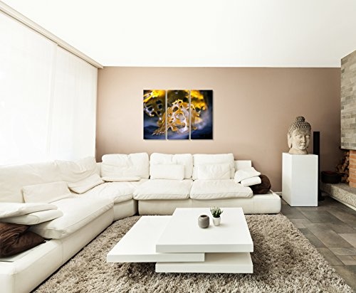 3 teiliges Leinwand-Bild 3x90x40cm (Gesamt 130x90cm) Nahaufnahme von Shatter auf Leinwand exklusives Wandbild moderne Fotografie für ihre Wand in vielen Größen