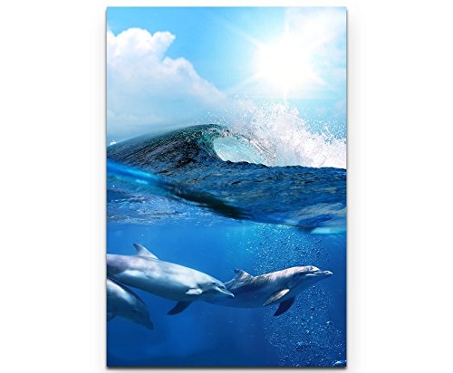 Paul Sinus Art Leinwandbilder | Bilder Leinwand 90x60cm Delphine Unter Einer brechenden Welle