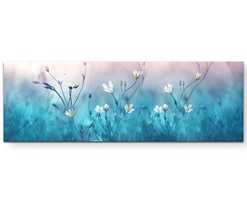 Paul Sinus Art Leinwandbilder | Bilder Leinwand 150x50cm weiße Kleine Blumen auf türkiser Wiese