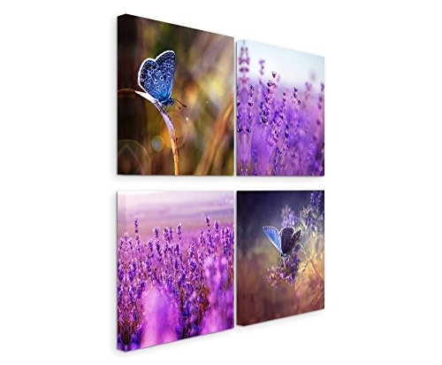 Paul Sinus Art 4 Teiliges Leinwandbild je 40x40cm - Lavendelfeld Blumen Schmetterling Makroaufnahme