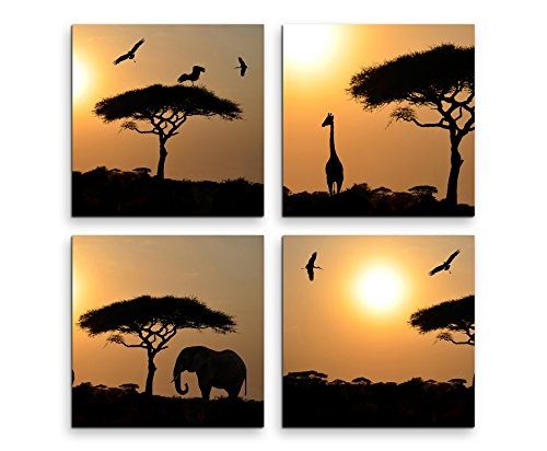 Paul Sinus Art 4 Teiliges Leinwandbild je 40x40cm - Akazienbaum Afrika Sonnenuntergang Wüste Giraffe Elefant