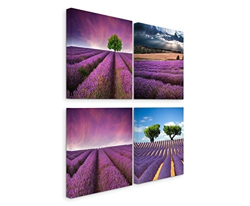Paul Sinus Art 4 Teiliges Leinwandbild je 40x40cm - Lavendelfeld Sommer Blumen