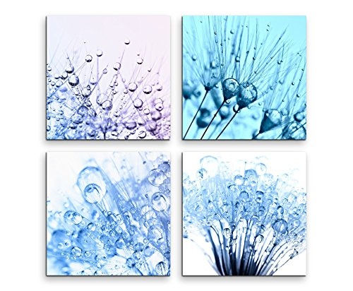 Paul Sinus Art 4 Teiliges Leinwandbild je 40x40cm - Pusteblume Wassertropfen Makroaufnahme