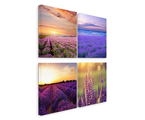 Paul Sinus Art 4 Teiliges Leinwandbild je 40x40cm - Lavendelfeld Blumen Sonnenuntergang