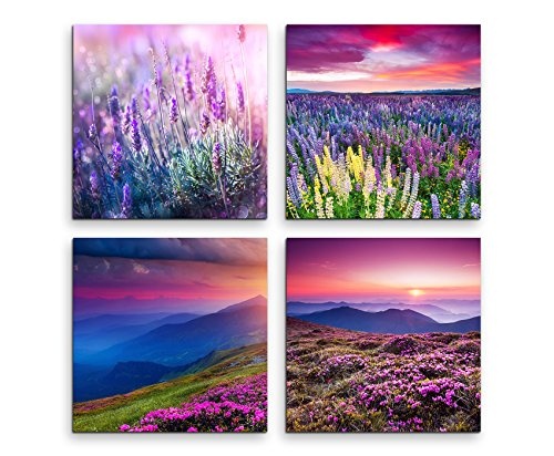 Paul Sinus Art 4 Teiliges Leinwandbild je 40x40cm - Lavendel Blumenwiese Sommer